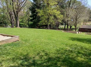 Caryn W.'s turf care service result