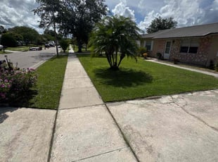 Thomas E.'s lawn care service result