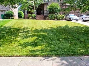 Robin H.'s turf care service result