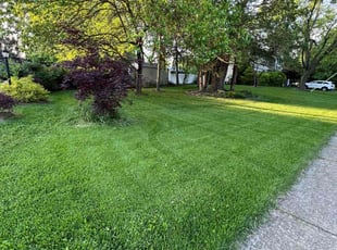 Kristin B.'s lawn care services service result