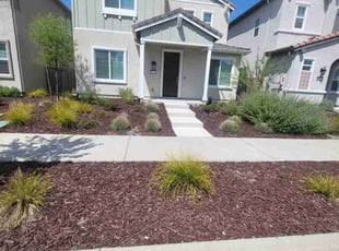 Thomas A.'s Long Grass Cleanup service result
