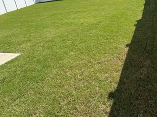 Kara C.'s grass maintenance service result