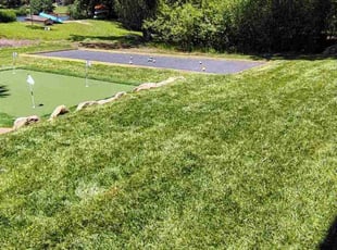 Dee T.'s lawn care service result