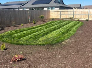 Albert M.'s lawn care service result