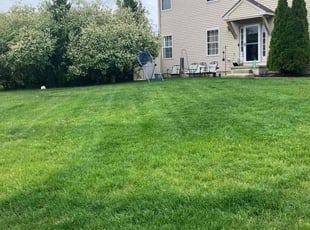 Tish S.'s grass cutting service result