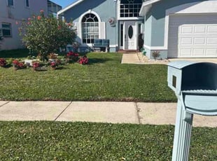 Cesar U.'s grass maintenance service result