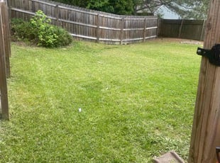 Harry C.'s turf maintenance service result