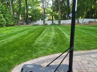 Kenny R.'s grass cutting service result