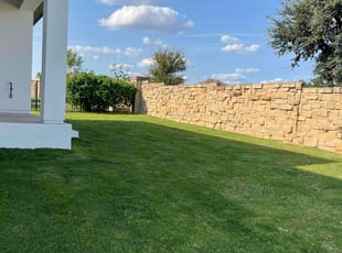 Leslee W.'s grass cutting service result