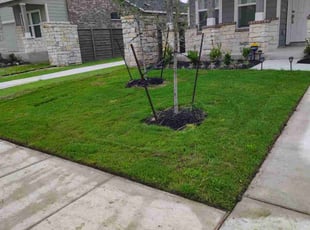 Lenequi R.'s lawn service service result