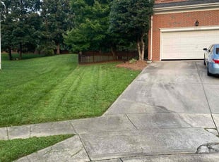 Mark D.'s lawn service service result