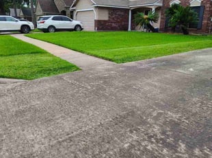 Jazmine M.'s turf maintenance service result