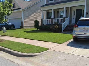 Gabe D.'s turf care service result