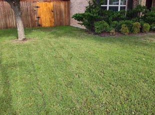 Darlene S.'s lawn service service result