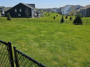 Randy S.'s lawn service service result