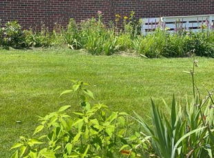 Ashley F.'s Flower Bed Weeding service result