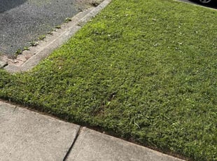 Ronald R.'s turf maintenance service result