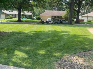 Jen D.'s lawn care service result