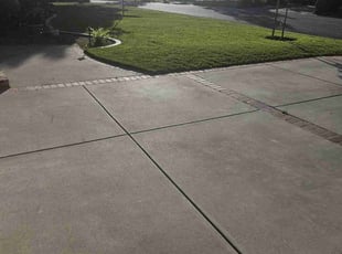 Tolu A.'s grass cutting service result