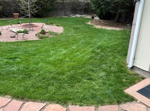 Latrice C.'s turf care service result