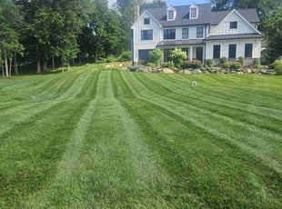 Cheryl A.'s lawn service service result