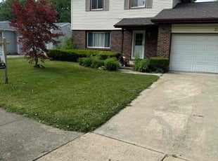 Tim L.'s grass cutting service result