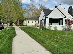 Pamela G.'s lawn service service result
