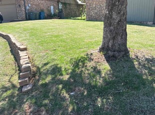 Emily M.'s lawn care service result