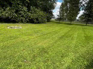 Daniel J.'s lawn care services service result