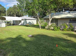 Brenda M.'s turf care service result