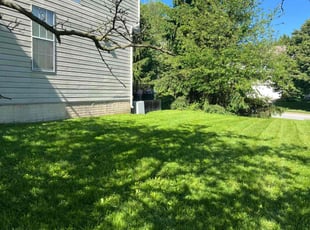 Latoya R.'s lawn care service result