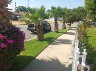 Courtney D.'s residential landscaping service result