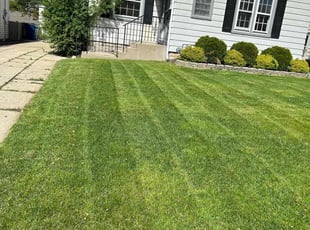 Randy A.'s turf maintenance service result