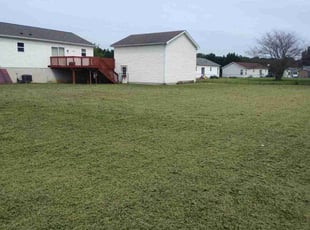 Courtney P.'s turf maintenance service result