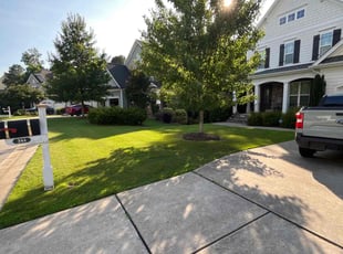 Tramaine W.'s landscaping services service result