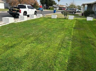 Kelly S.'s lawn care services service result