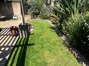 Elizabeth P.'s turf maintenance service result