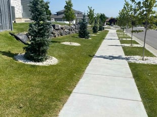 Jodi S.'s grass maintenance service result