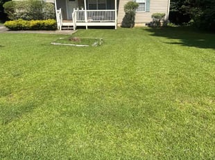 Nicole A.'s grass maintenance service result