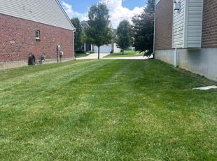Lindsay D.'s lawn maintenance service result