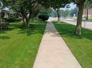 Tashia J.'s lawn service service result