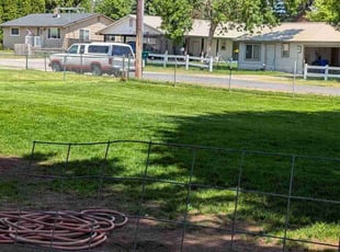 Brandon K.'s lawn care service result