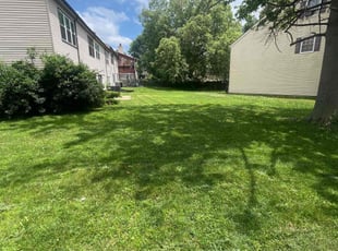 Francisco S.'s lawn care services service result