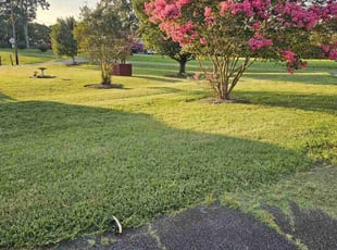 Christopher S.'s lawn maintenance service result