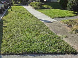 Abbey S.'s lawn service service result