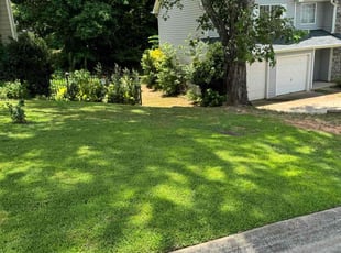 Tina H.'s lawn care services service result