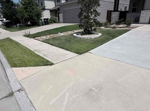 David W.'s lawn care service result