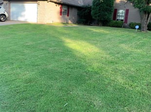 Marie D.'s grass cutting service result