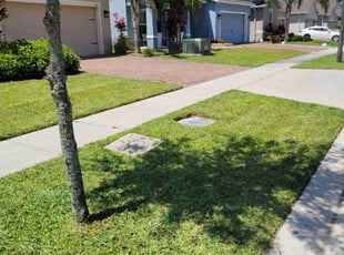 Christopher h.'s lawn care service result