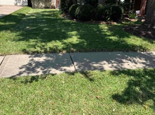 Vanita A.'s lawn service service result